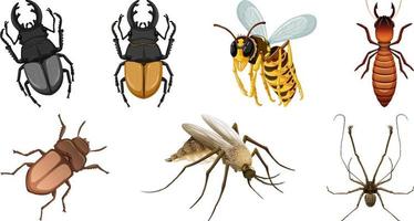 Collection of different insects vector