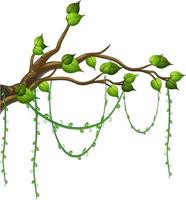 Tree branch with liana isolated vector