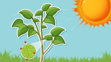 Sun shines to plant thumbnail design vector