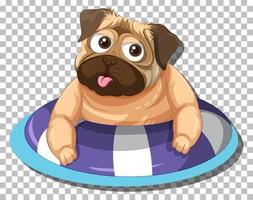 perro pug en anillo inflable vector