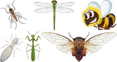 colección de diferentes vectores de insectos