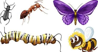 Set of different kinds of insects vector