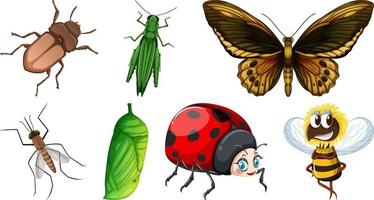 Set of different kinds of insects vector