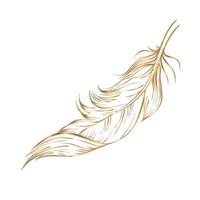 vector drawing golden feathers on a white background