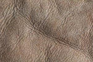imagen de fondo de la alfombra beige de ante suave. Vestir fondo de textura de primer plano de lana de oveja. vista superior. foto