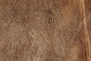 Background picture of a soft fur beige carpet. Wool sheep fleece closeup texture background. Top view. photo