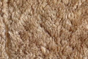 Background picture of a soft fur beige carpet. Wool sheep fleece closeup texture background. Top view. photo