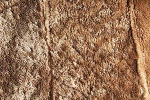 Background picture of a soft fur beige carpet. Wool sheep fleece closeup texture background. Top view. photo