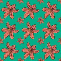 Lily flower pattern , illustration, vector on white background