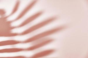 Leaf shadow on pink background. Creative abstract background photo