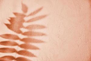 Leaf shadow on pink background. Creative abstract background photo