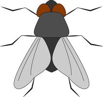 Standing fly, illustration, vector on white background.
