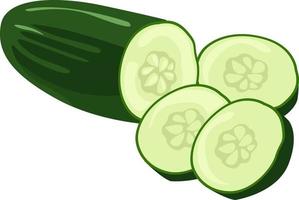 Cucumber cut in slices, illustration, vector on white background