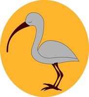 Sad ibis, illustration, vector on white background.