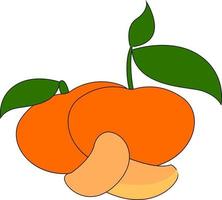 Fresh orange mandarin, illustration, vector on white background.