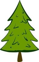 Green spruce, illustration, vector on white background.