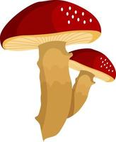 Red Mushrooms, illustration, vector on white background