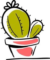 Cactus in pot, illustration, vector on white background.