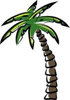 Palm tree, illustration, vector on white background.