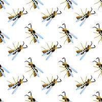 BBig bee pattern, illustration, vector on white background
