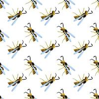 BBig bee pattern, illustration, vector on white background