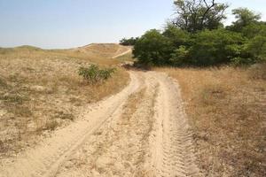 Road against the background photo