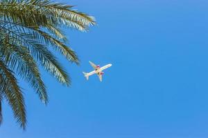 airplane flying over tropical palm trees. clear blue sky vacation time photo