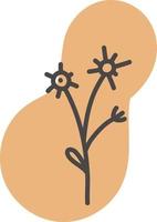 Orange peonies, illustration, vector on a white background.