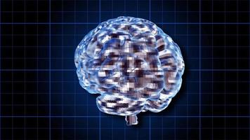 ein rotierendes menschliches Gehirn, das elektrisch mit Gedanken aufgeladen ist - eine Schleife