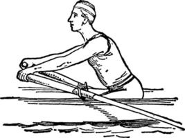 Steps and positions in Rowing vintage illustration. vector