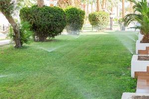 Sprinkler in garden watering the lawn. Automatic watering lawns concept photo