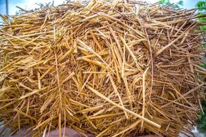 Season of mowing of grasses on meadows Haystack photo