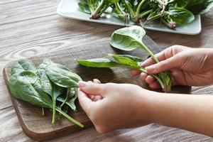 woman hands holding spinach at home. healthy eating, baby food, diet and cooking concept - Girl's hands tear the spinach photo