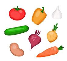 Set of vegetables on a white background vector