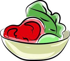 Salad, illustration, vector on white background.