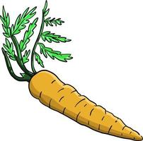 Orange carrot , illustration, vector on white background