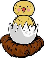 Chick in a egg, illustration, vector on white background