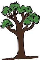 Tall tree with green leaves, illustration, vector on white background.