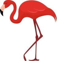 Red flamingo, illustration, vector on white background