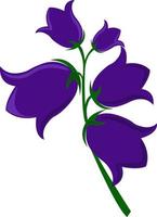 Bluebell flower, illustration, vector on white background.