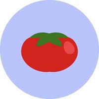 tomate rojo, ilustración, vector sobre fondo blanco.