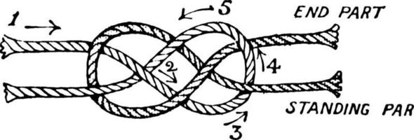 Knots, Carrick Bend Joining Two Ropes, vintage illustration vector