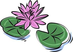 Purple lotus flower, illustration, vector on white background.