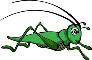 Grasshopper, illustration, vector on white background.