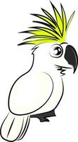 White cockatoo bird, illustration, vector on white background.