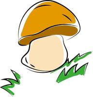 Mushroom in woods, illustration, vector on white background.