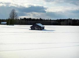 una cabaña de madera en medio de un campo blanco nevado con pinos en el fondo, escondida de la nieve, refugio, espacio para copiar, papel tapiz de invierno foto