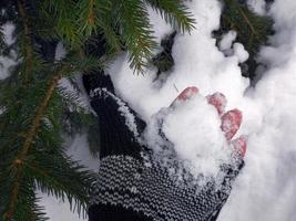 Hand in black color knitting gloves holding snowflakes playing white snow under the pine tree, merry Christmas, seasons greetings photo