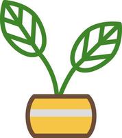 Coffee plant in pot, illustration, on a white background. vector