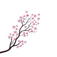 icono de vector de flor de belleza de sakura